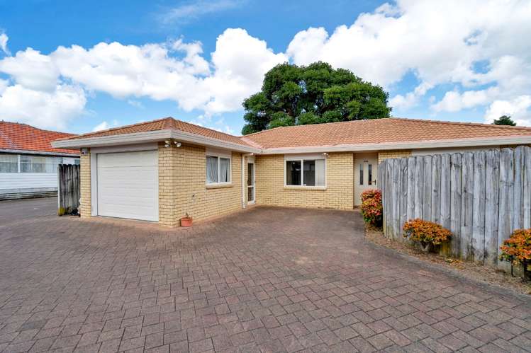 29a Riversdale Road Avondale_0