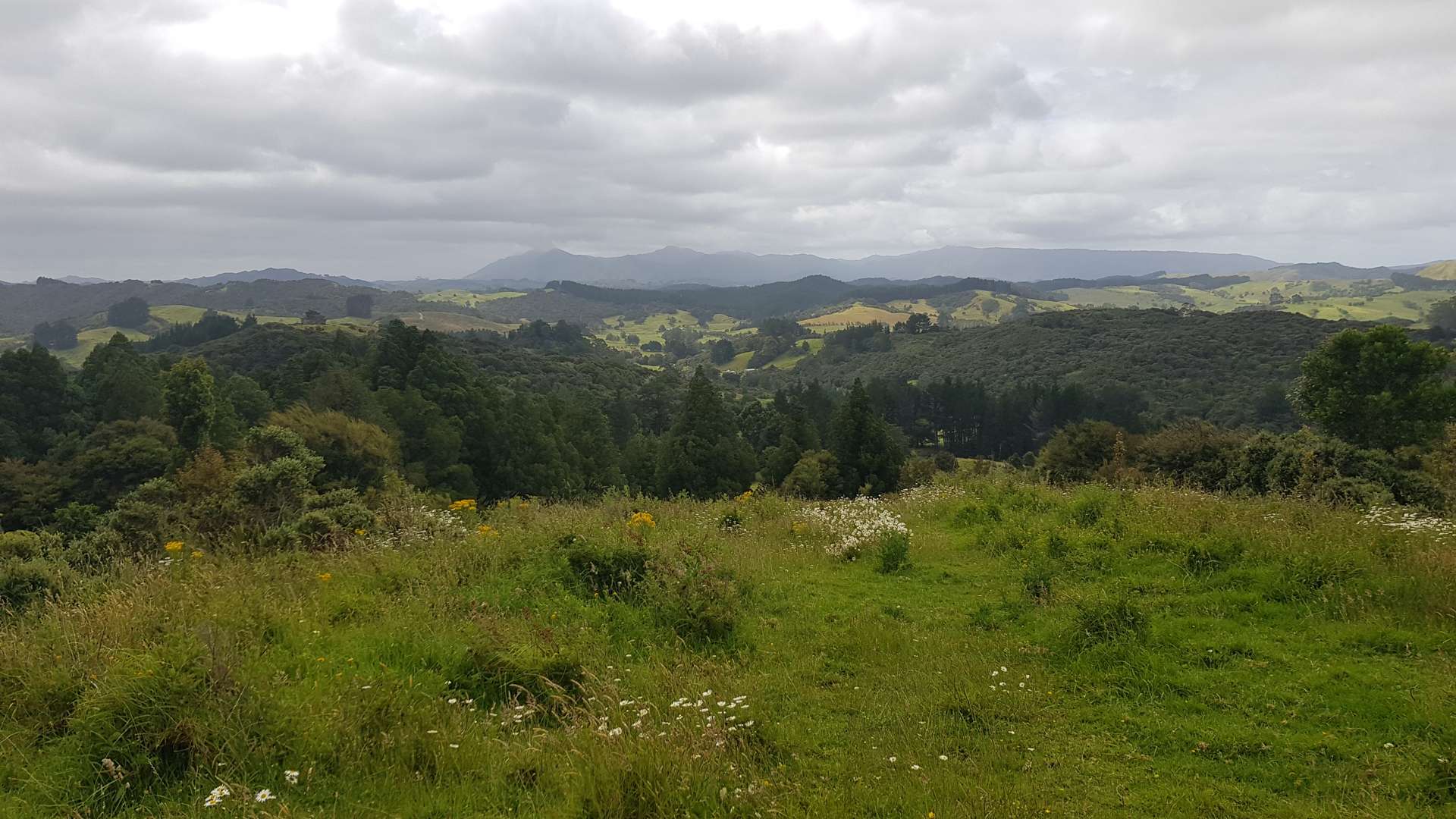 130-132 Powell Road Herekino_0