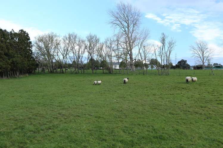 77 Maxwell Road Maramarua_13