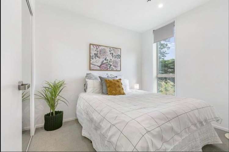 03/11g Akepiro Street Mount Eden_8