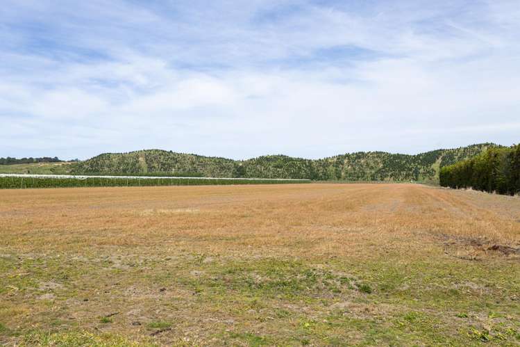 101 Pitcher Road Te Karaka_36