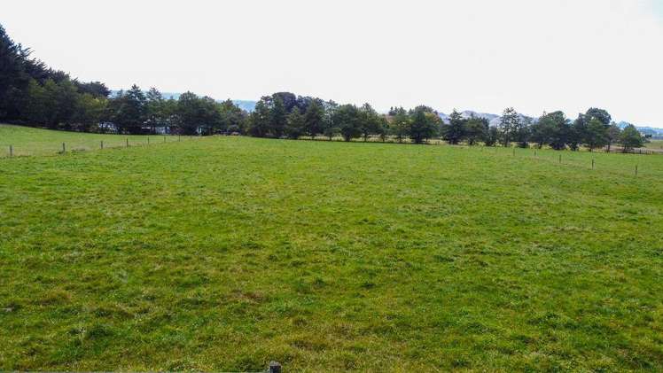 185 Umutaoroa Road Dannevirke_6