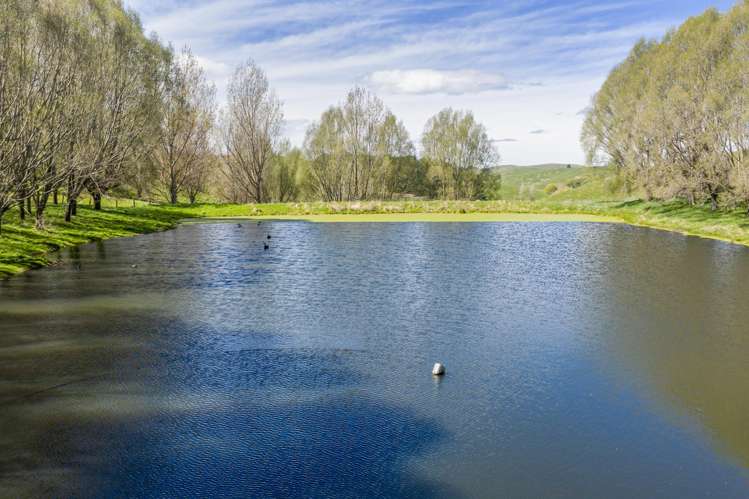 683 Bush Road Wallingford_30