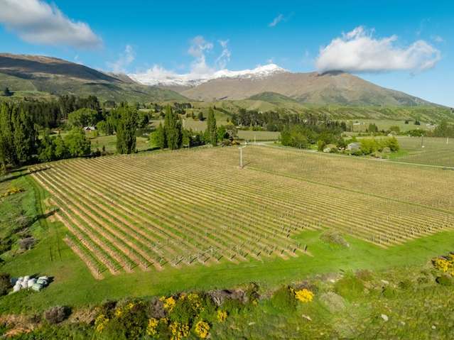 Gibbston Highway Gibbston_3