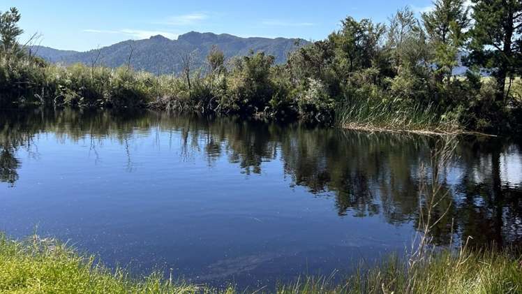 1419 Collingwood-Bainham Main Road Collingwood_3