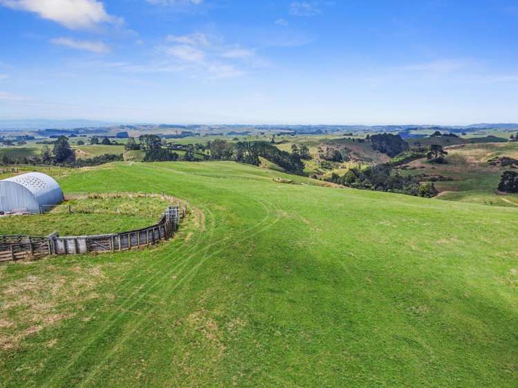 870 Mangati Road Pirongia_25