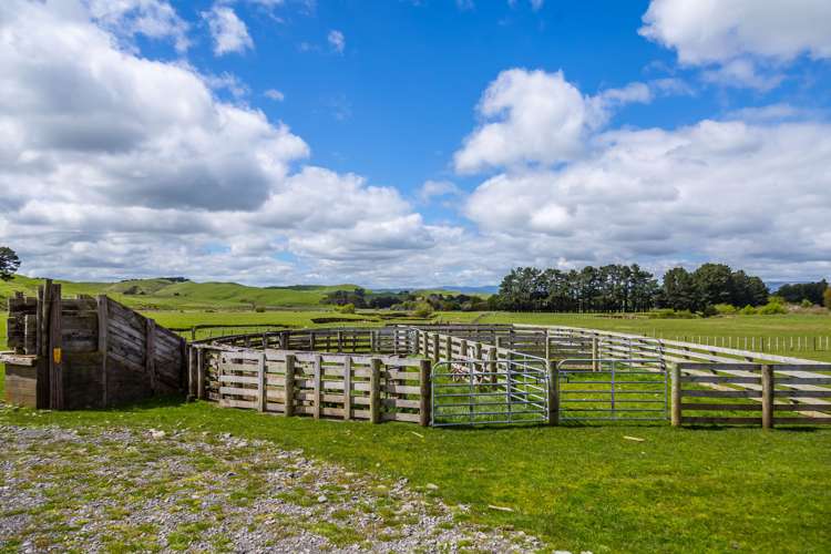 507 Valley Road Woodville_17