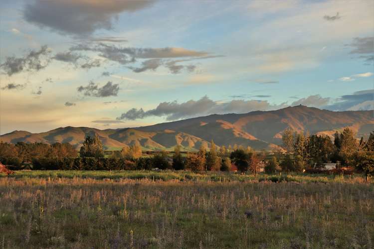 392 Letts Gully Road Alexandra_1