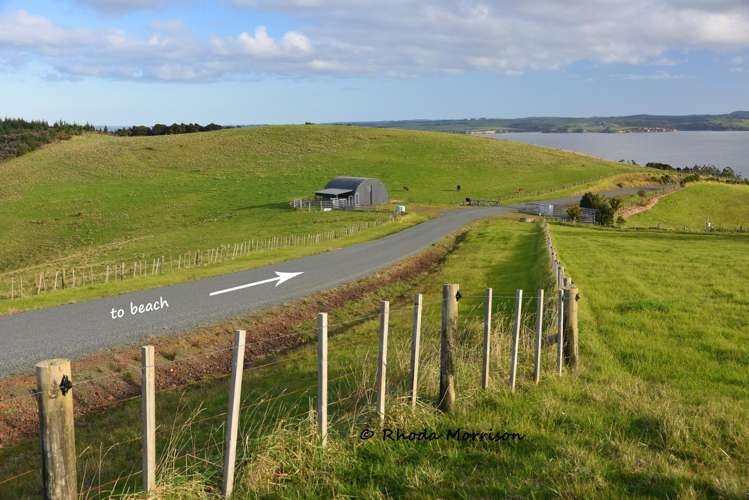 100 Te Wairoa Lane Matakohe_10