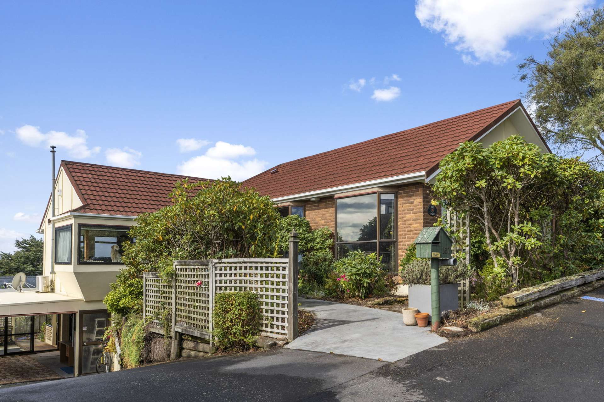 167 Doon Street Waverley_0
