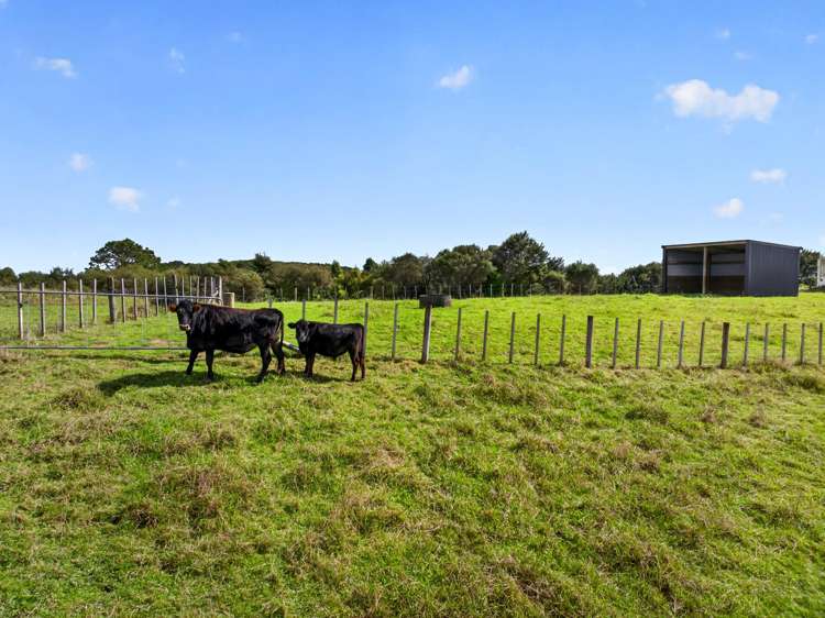 900 Hunua Road Hunua_25