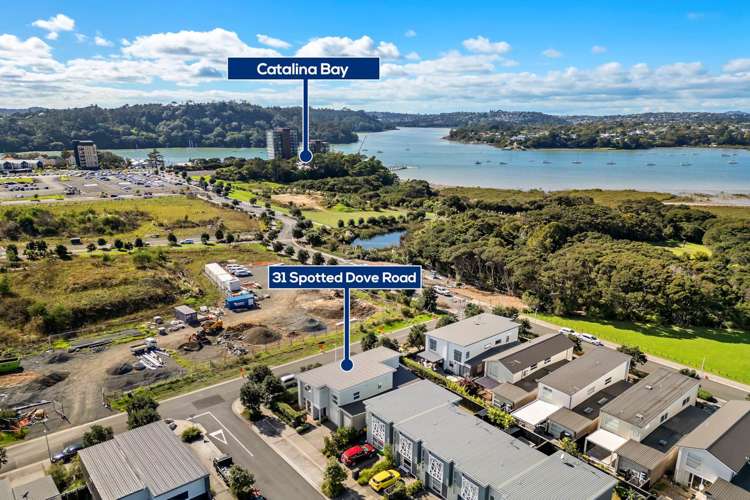 31 Spotted Dove Road Hobsonville_23