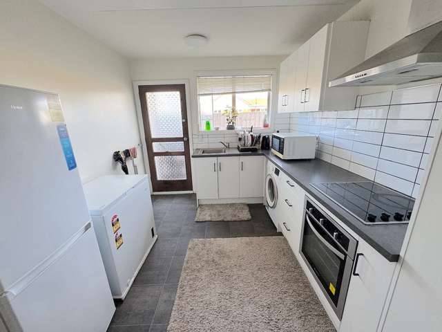163B Peverel Street Riccarton_3