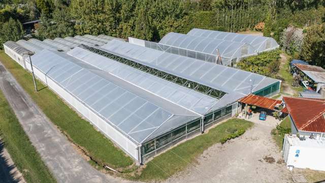 1164 No 3 Road Te Puke_2