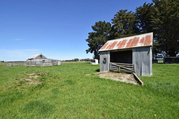 219 Gerard Road Winton Surrounds_12