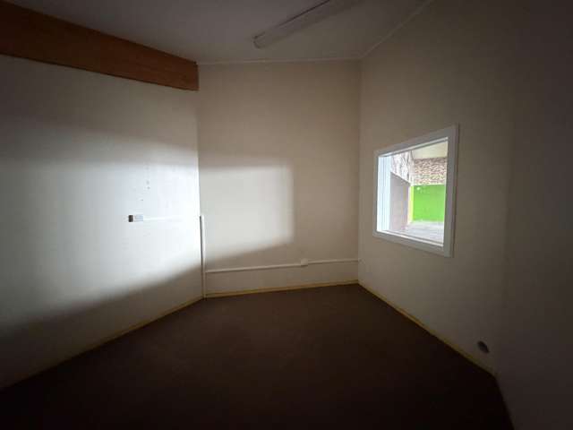 17 Carlyle Street Napier South_3