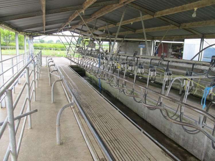 139 Tower Road Matamata_6