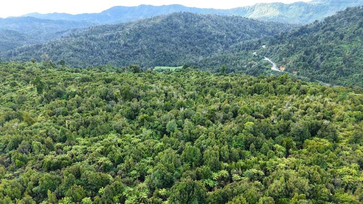 40Ha Block State Highway 67 Mokihinui_32