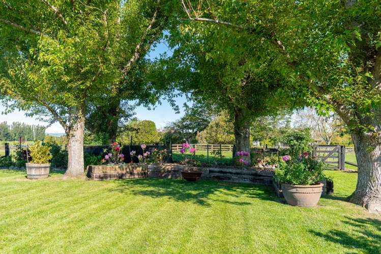 85 North Street Greytown_36