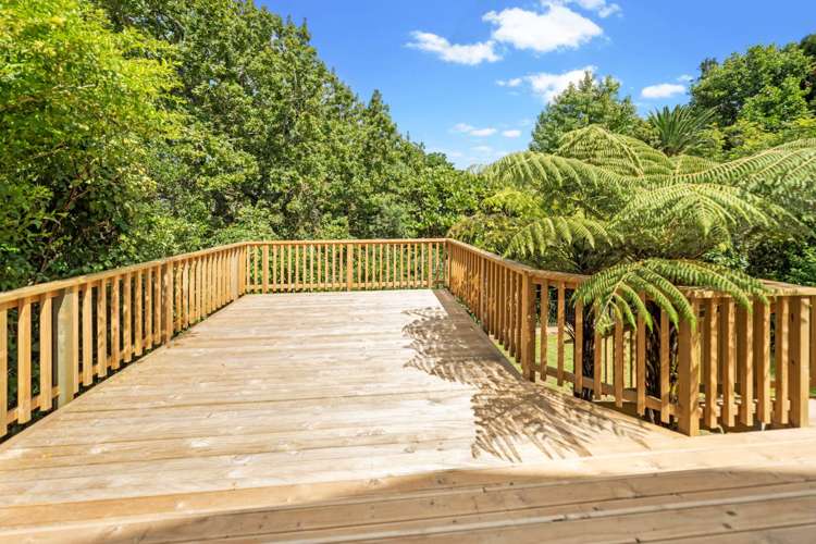 13 Belfast Street Hillsborough_9