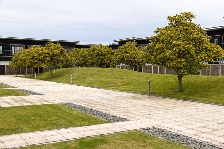 21/9 Humber Street Pandora_18