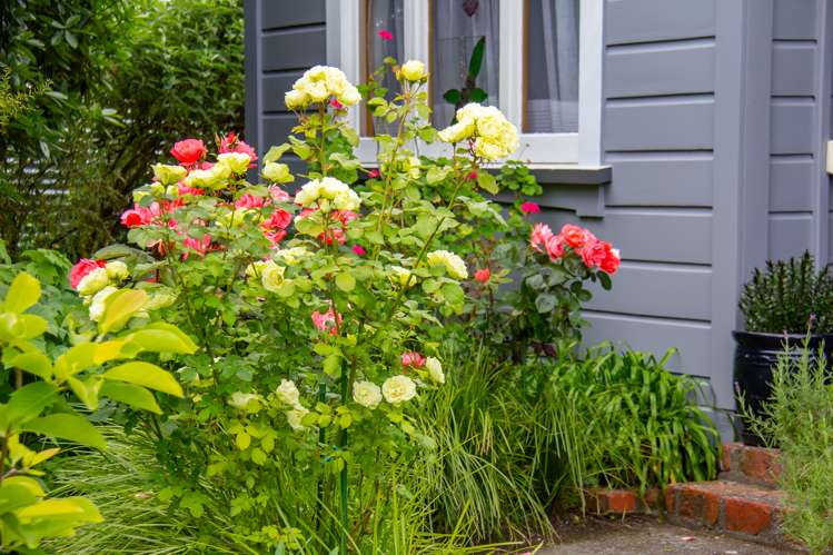 30 Victoria Street Masterton_21