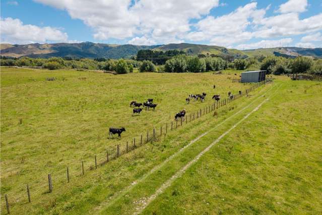 Flat and fertile first farm - 20 ha