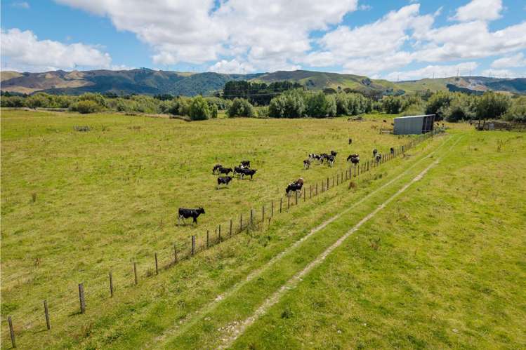 Broomfield Road Woodville_10