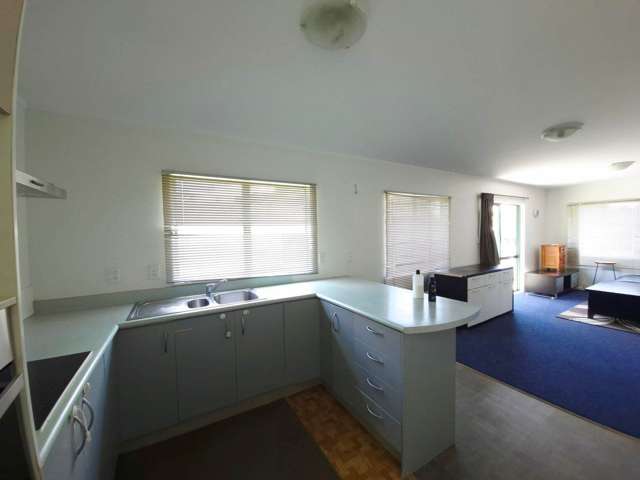 3199A Great North Road New Lynn_1