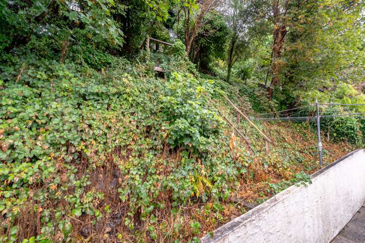 3 Lees Street Dunedin Central_22