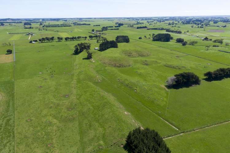 335a Couper Road Glen Oroua_11