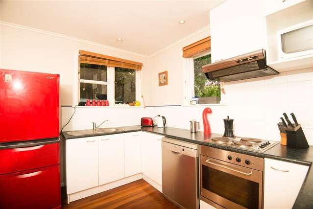 45 Prospect Terrace Johnsonville_4