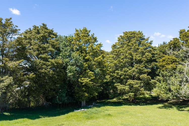 223 Puhipuhi Road Whakapara_7