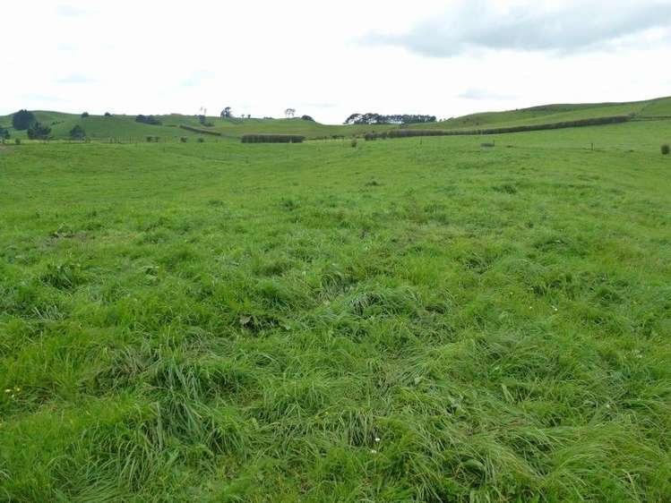 1265 Mountain Road Inglewood_24