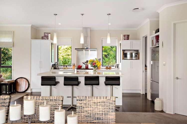 47a The Avenue Albany_5