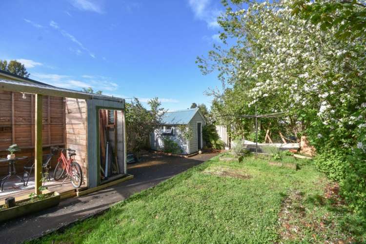 55 Selwyn Street North East Valley_19