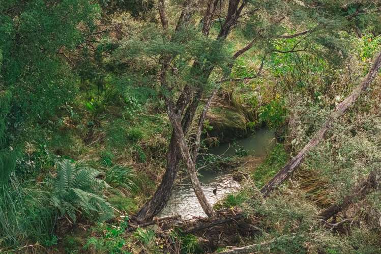 88 Waere Valley Lane Warkworth_8