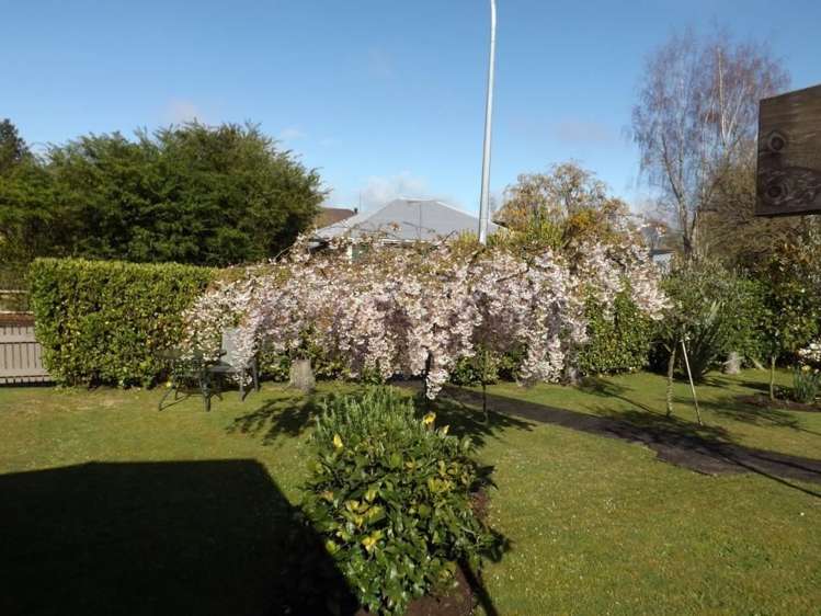 3 Lunn Street Arapuni_15