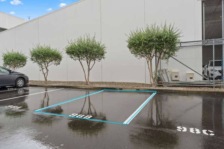 98b Michael Jones Drive Flat Bush_18