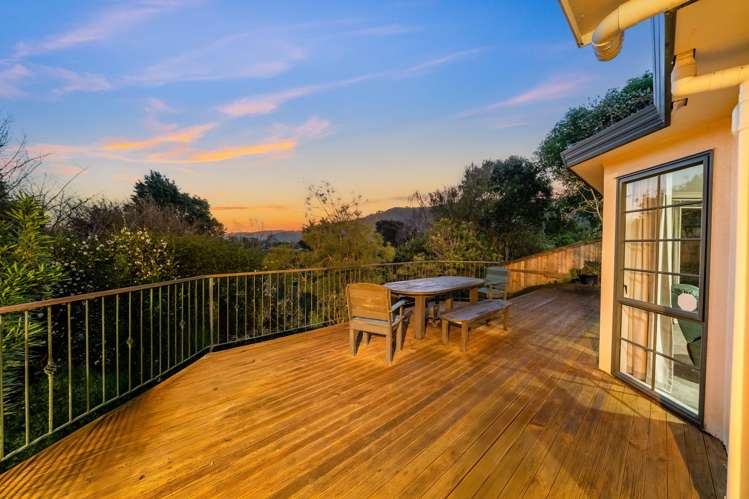 29 Clearwater Terrace Brown Owl_3