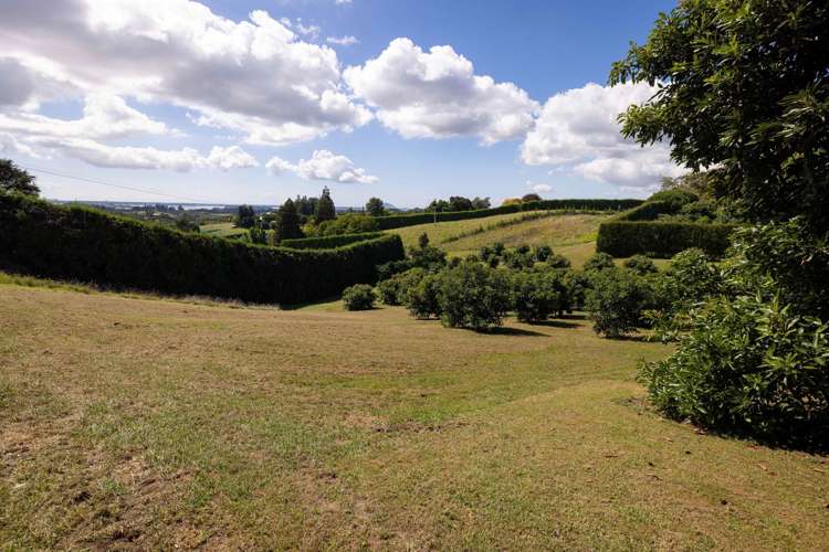 313 Youngson Road Whakamarama_27