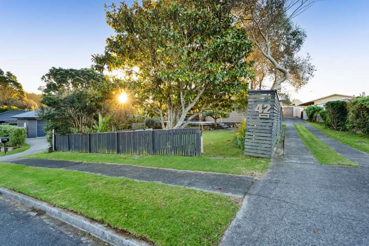 42 Norwich Avenue Spotswood_22