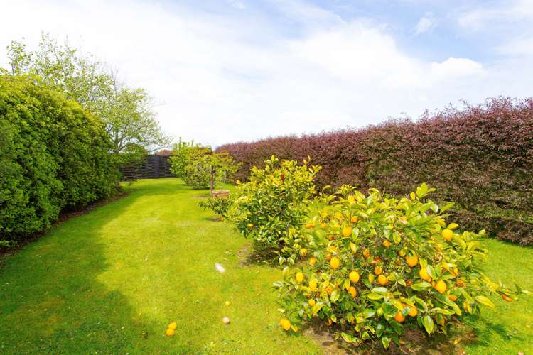 20 Nicholson Drive Kaitoke_24