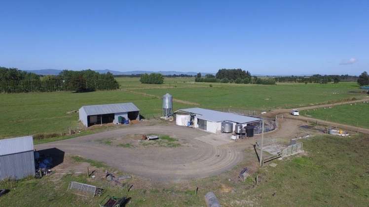 214 Fisher Road Paeroa_6