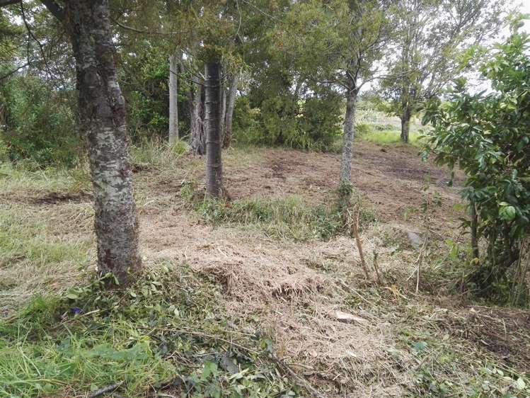 325a Parawai Road Thames_9