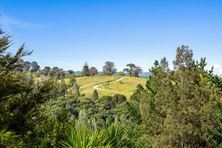 21 Hepburn Creek Road Warkworth_26