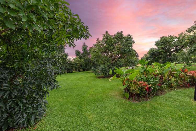 800 Pyes Pa Road Pyes Pa_38