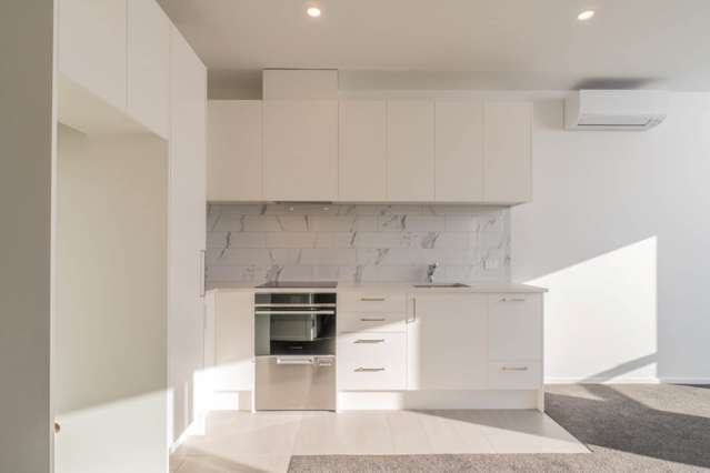 210/1B Oakley Avenue Waterview_1