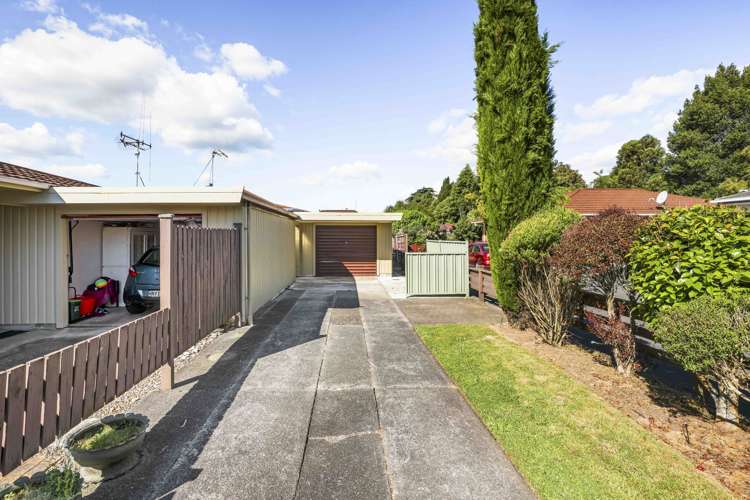 216b Peachgrove Road Claudelands_12