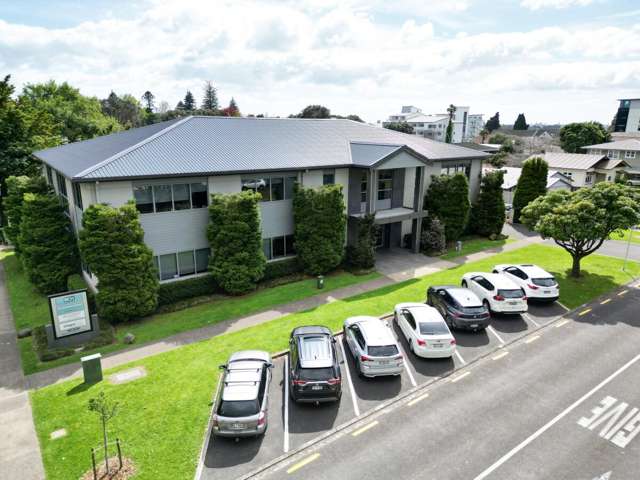 41 Monmouth Street Tauranga_3